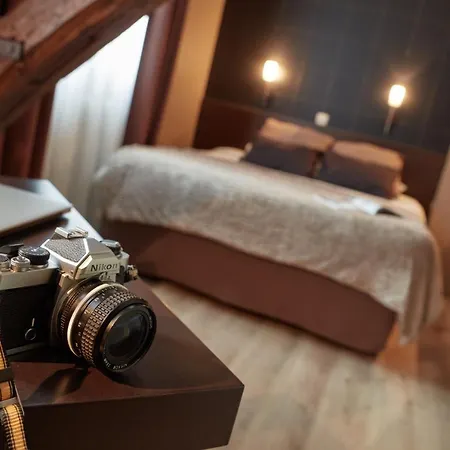 Ashley Centre Gare Szálloda Le Mans