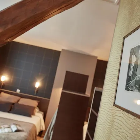 Ashley Centre Gare 3* Le Mans