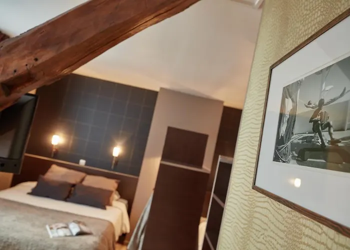 Ashley Centre Gare 3* Le Mans